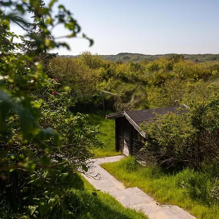 Haus Billstrasse 17a 237 - Billstrasse 17a Apartment *