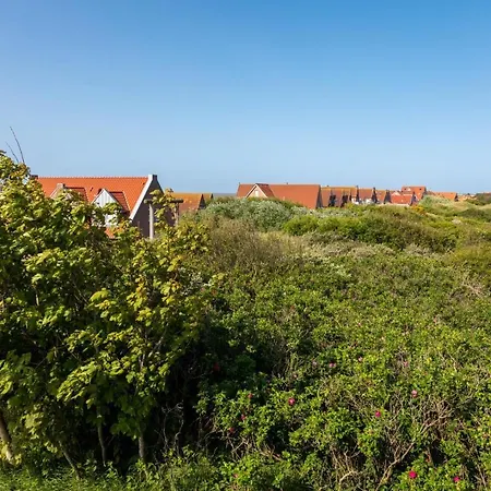 Haus Billstrasse 17a 237 - Billstrasse 17a Apartment *